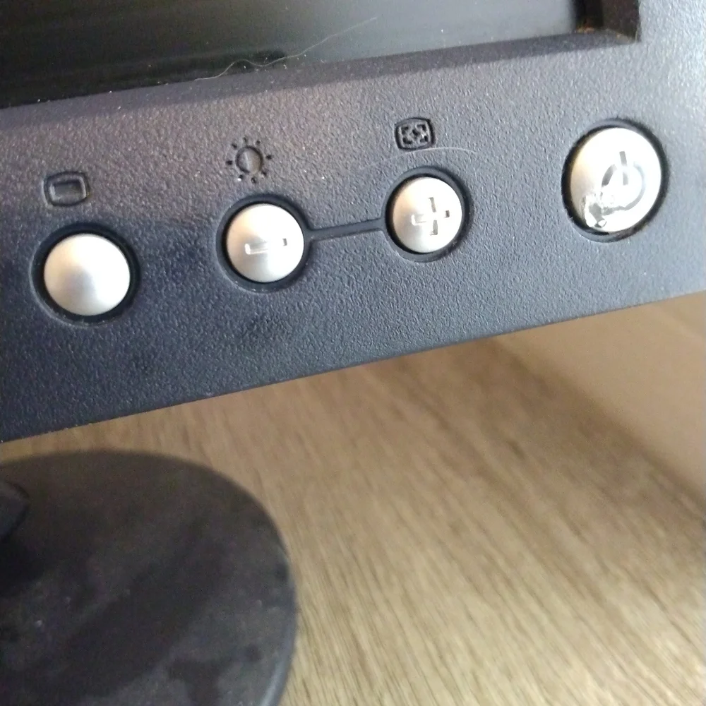 Dell LCD Monitor